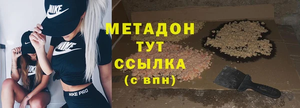 индика Горняк