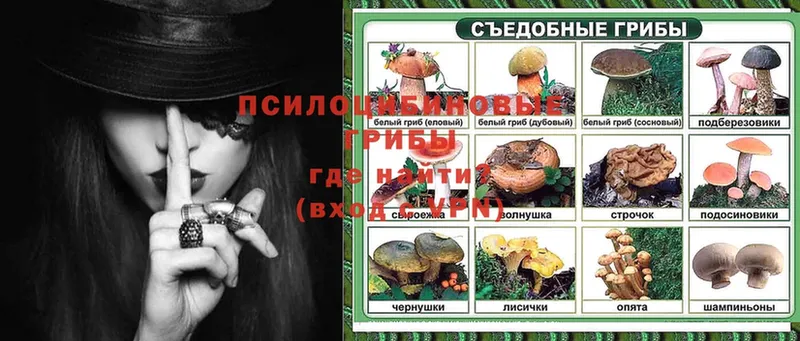 blacksprut ONION  Нижняя Тура  Галлюциногенные грибы ЛСД  цена  